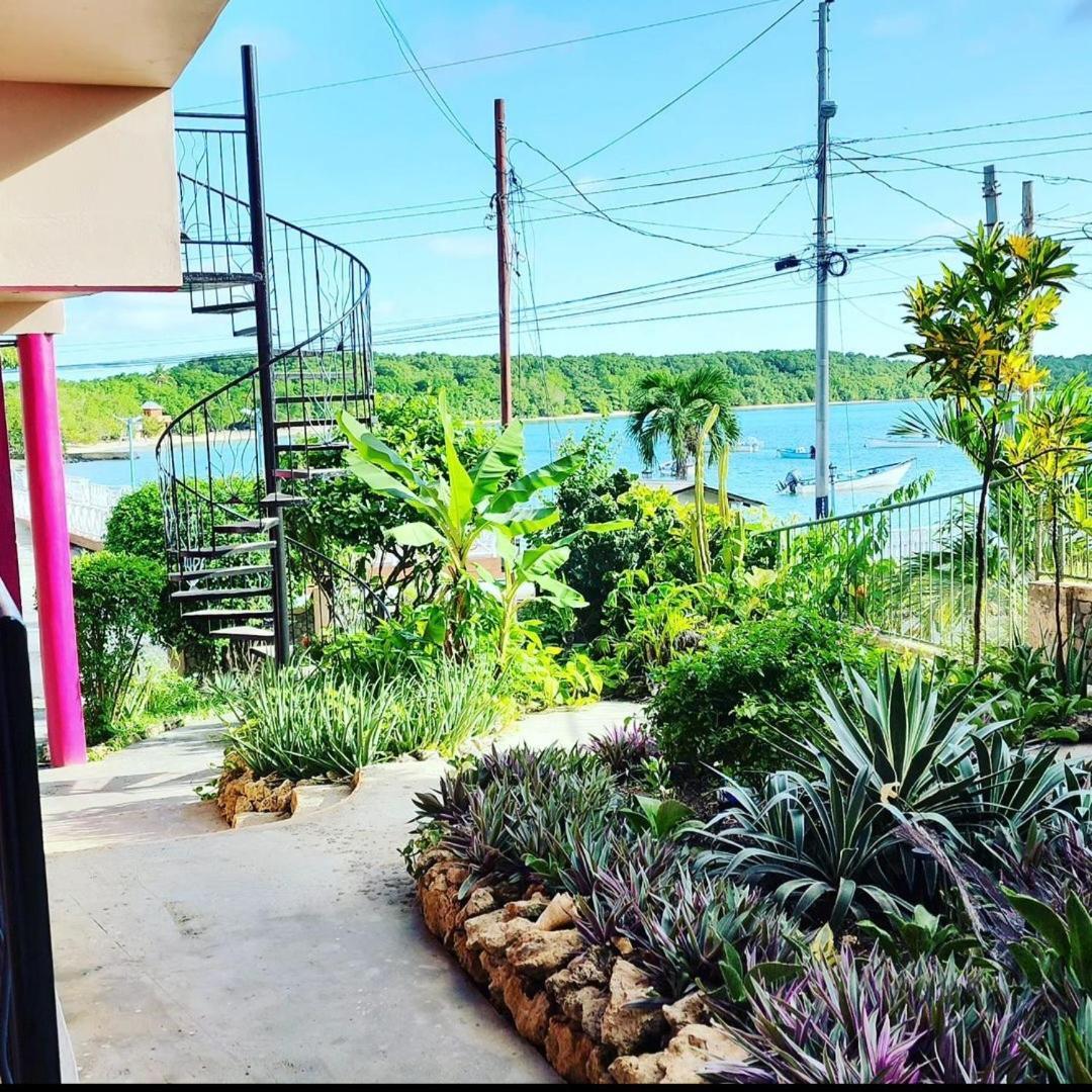 The Seaside Garden Guesthouse Buccoo Екстериор снимка
