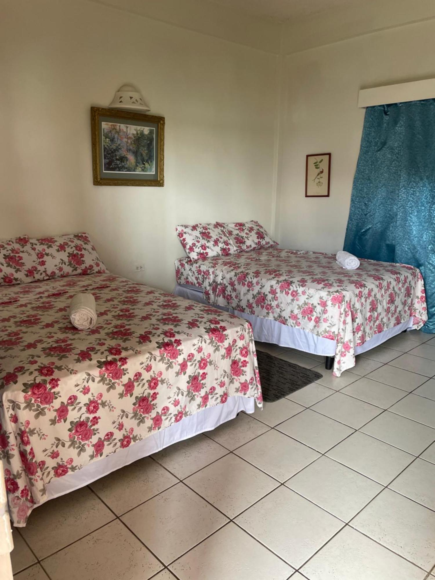 The Seaside Garden Guesthouse Buccoo Екстериор снимка